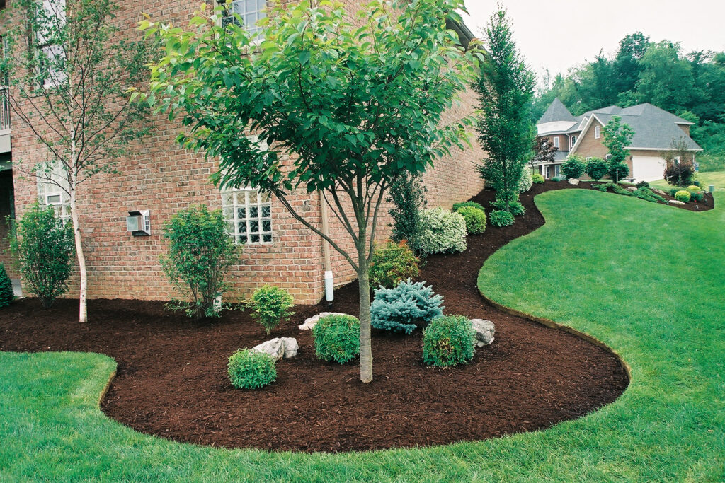 Alexandria Aeration